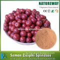Ziziphi jujuba extract (zizyphus jujuba fruit extract)